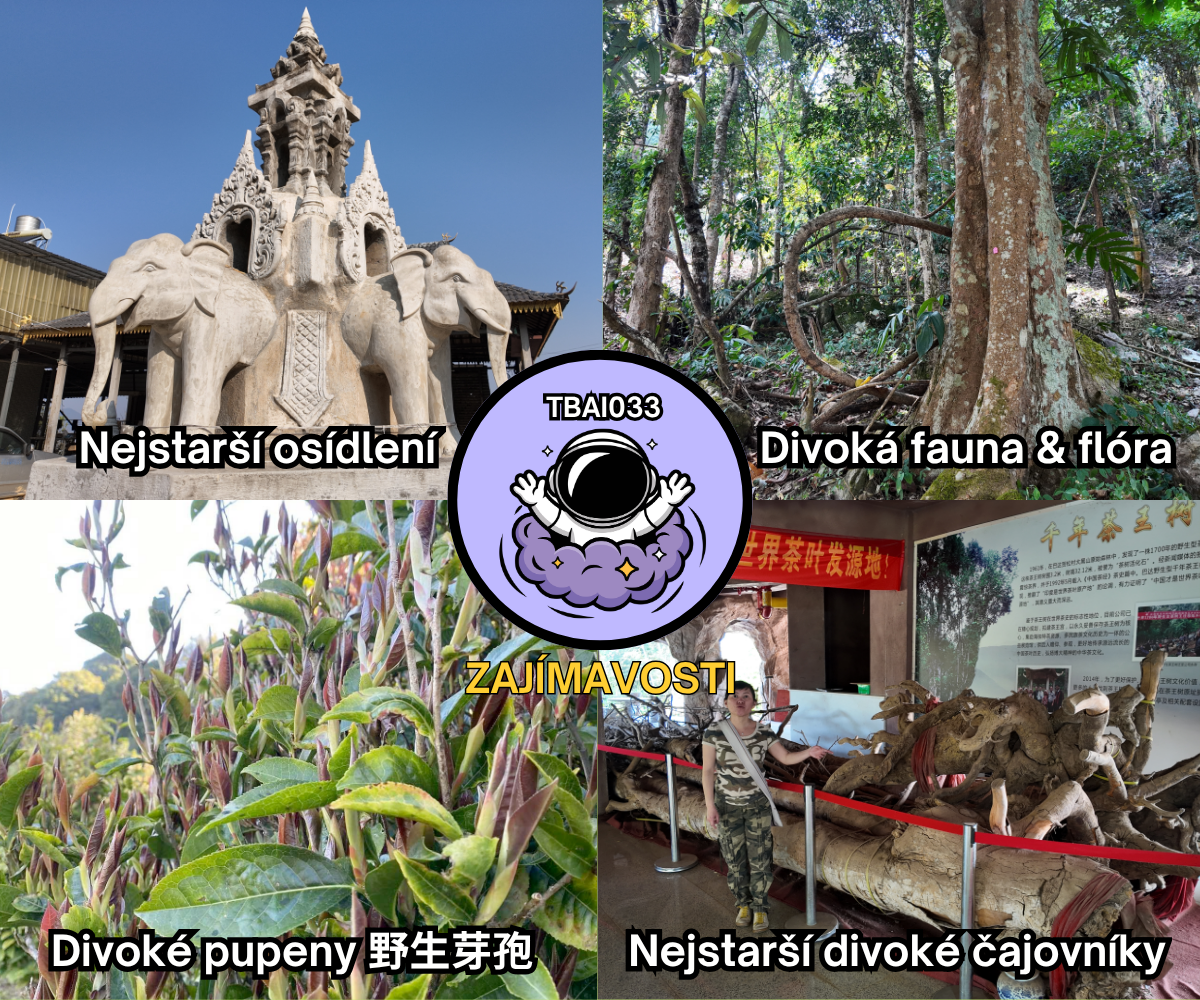 TBAI033 - Bada - Background - CZ